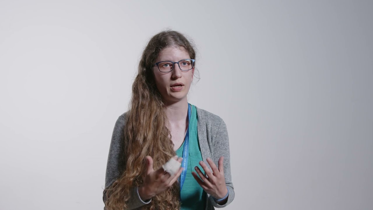 Phage Therapy: Understanding and Predicting Treatment Outcomes