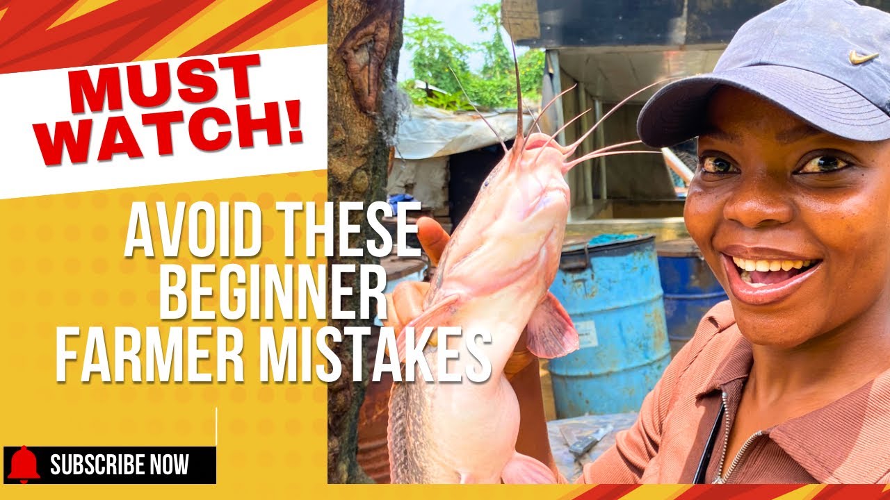 Invest in Catfish Farming the Right Way in 2025