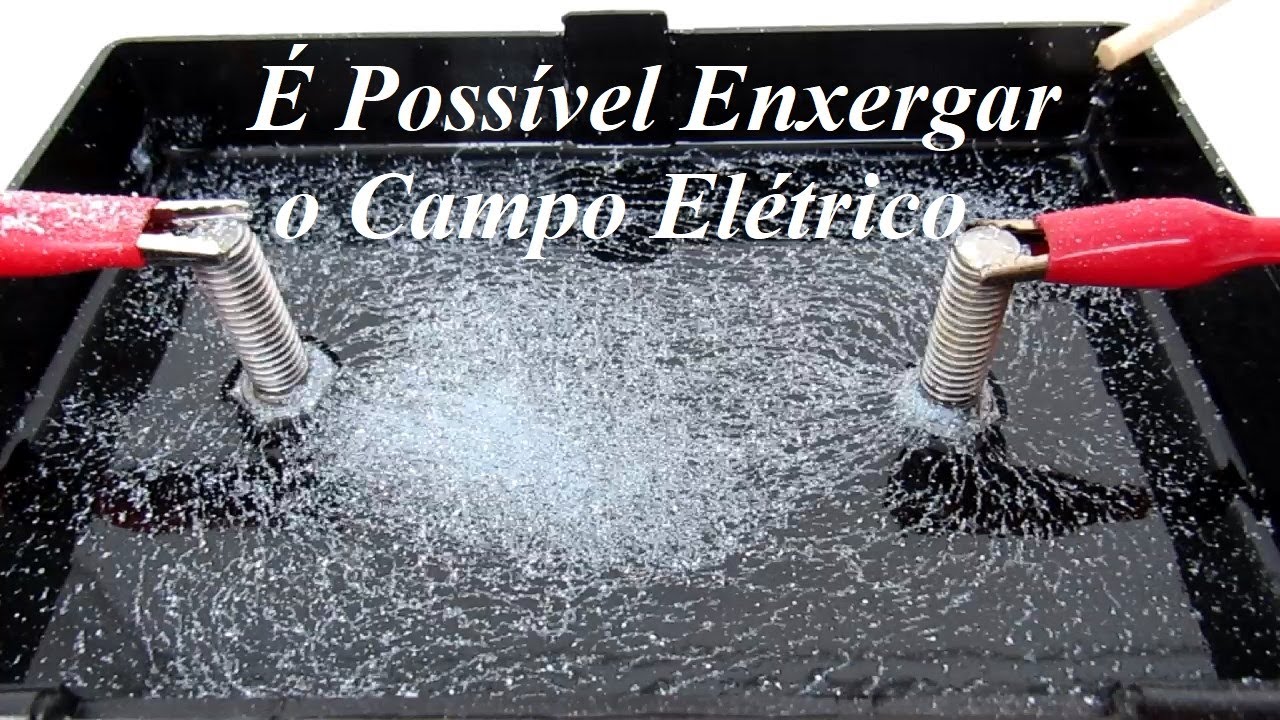 A experiência Científica que Demonstra as Linhas de Campo Elétrico