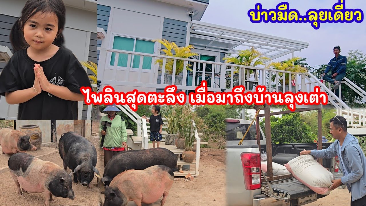 สวัสดีค่ะลุงเต่าป้ายุพิน หนูชื่อไพลิน..ขอมาเที่ยวบ้านสวนครั้งแรกหน่อยนะคะ