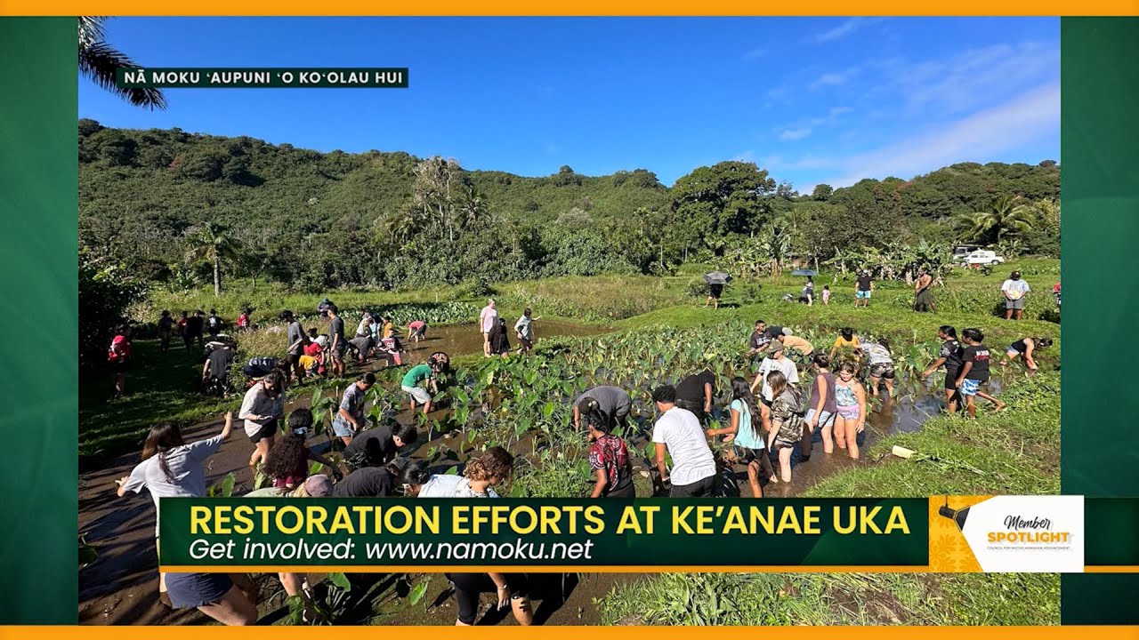 East Maui kalo farmers win water rights