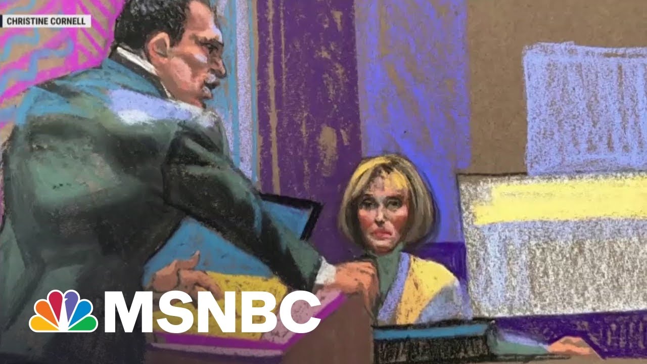 E. Jean Carroll: Trump 'raped me whether I screamed or not'
