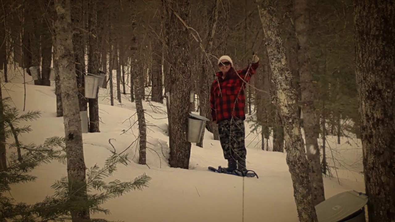 Érablière falardeau 2017