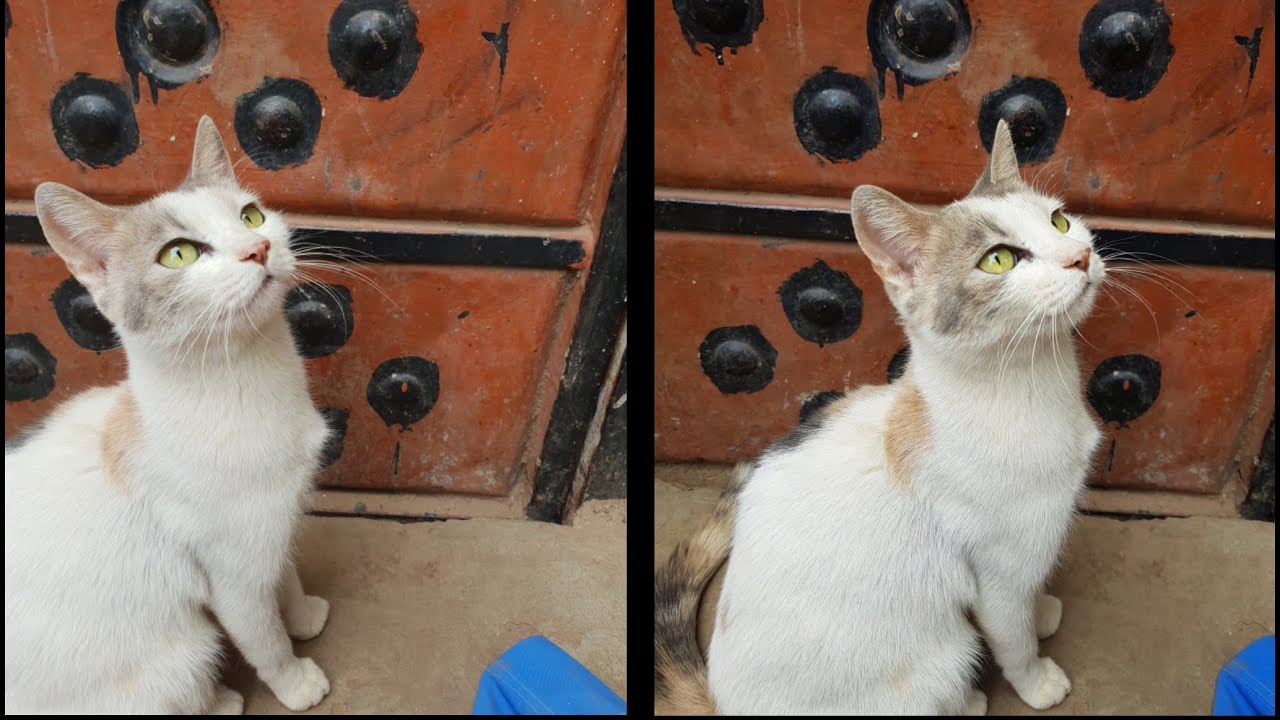 Samsung Galaxy S9 camera vs Galaxy S8 - Side by side Comparison in 2019
