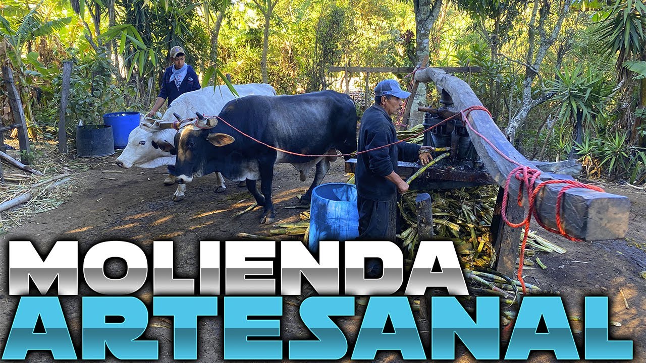 Molienda San Ramon  En Canton San ramon  citala Chalatenango