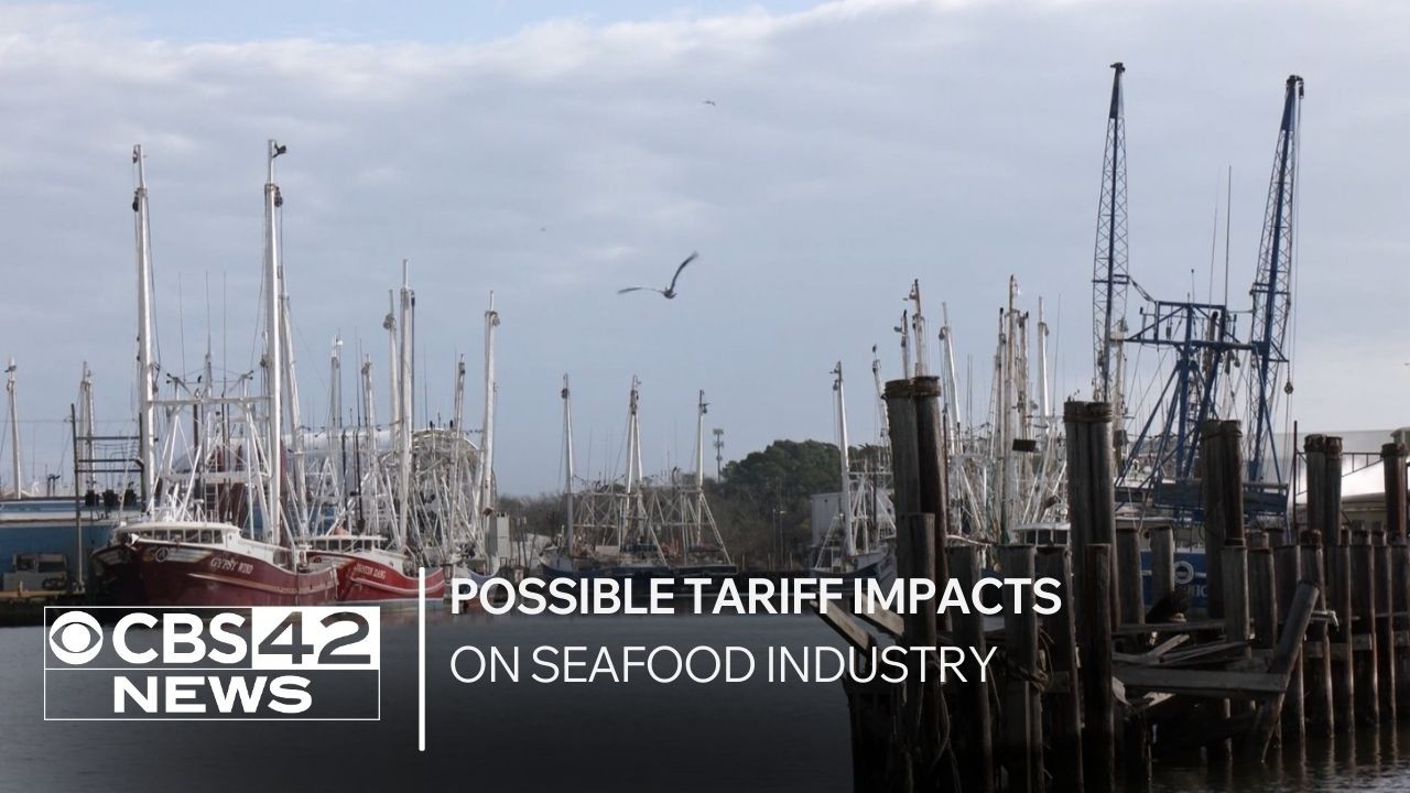 Possible tariff impacts on seafood industry
