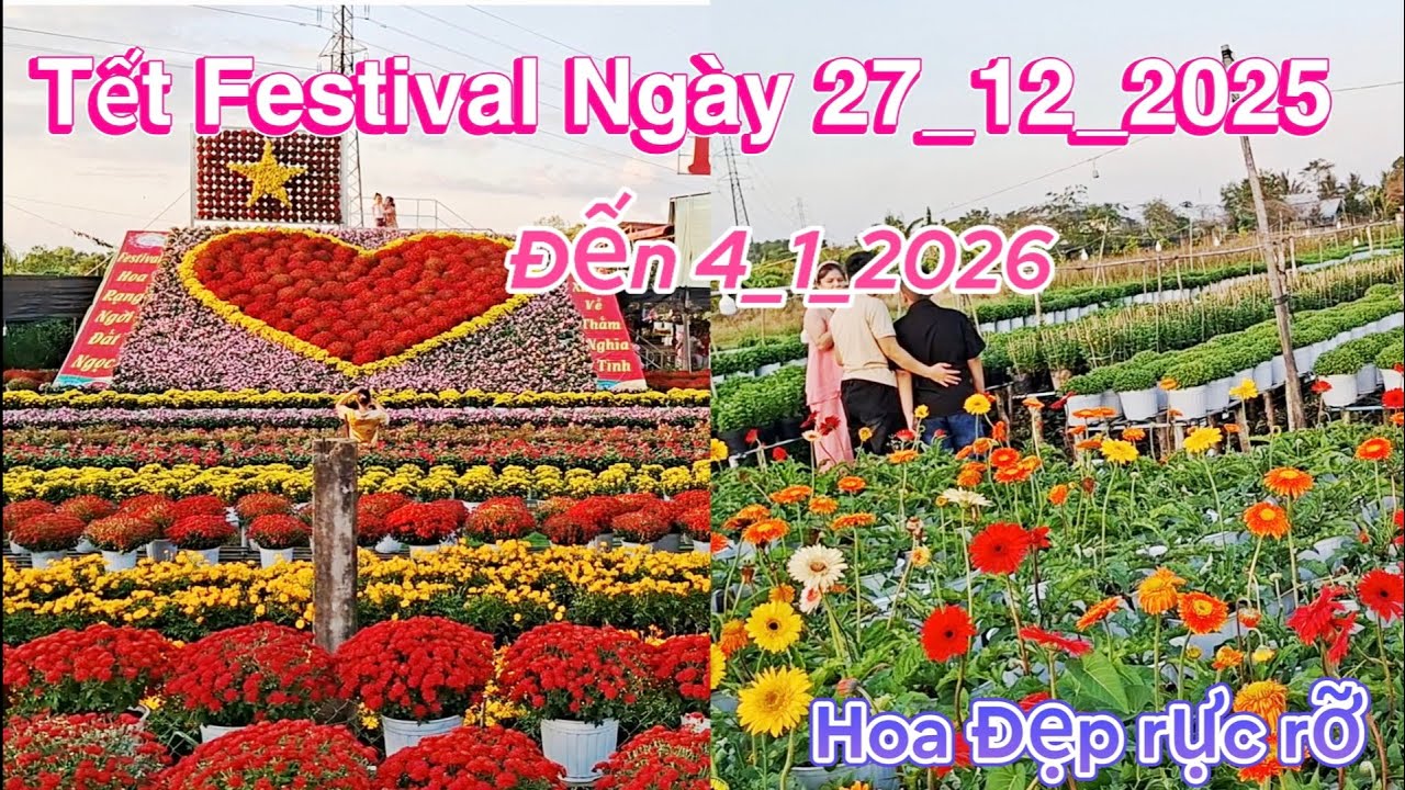 Tết, Festival Ngày 27_12_2025. Đến 4_1_2026. Hoa Đẹp Rự Rở