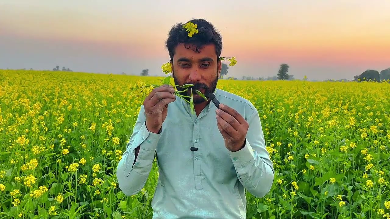 Asmr video in eating flowers