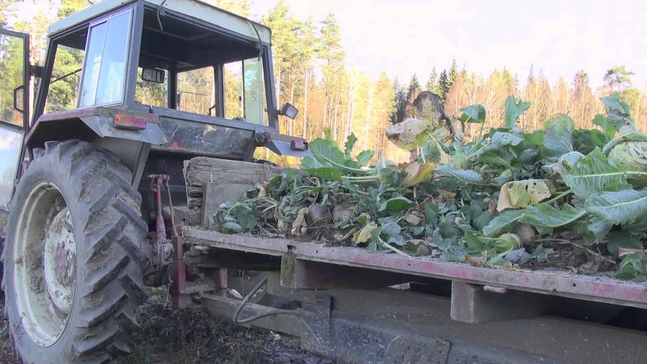 Vihreän veräjän luontotoimintaa mielenterveyskuntoutujille