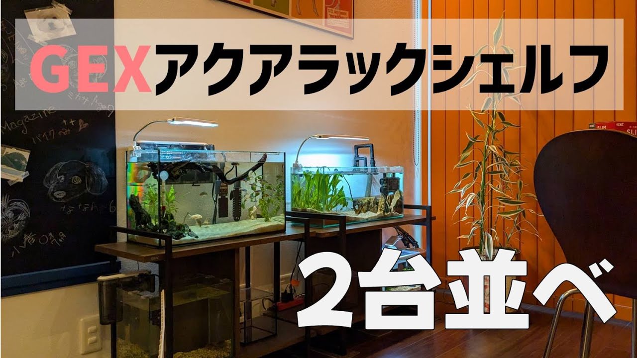 アクアラックシェルフ600と3050　＃アクアリウム