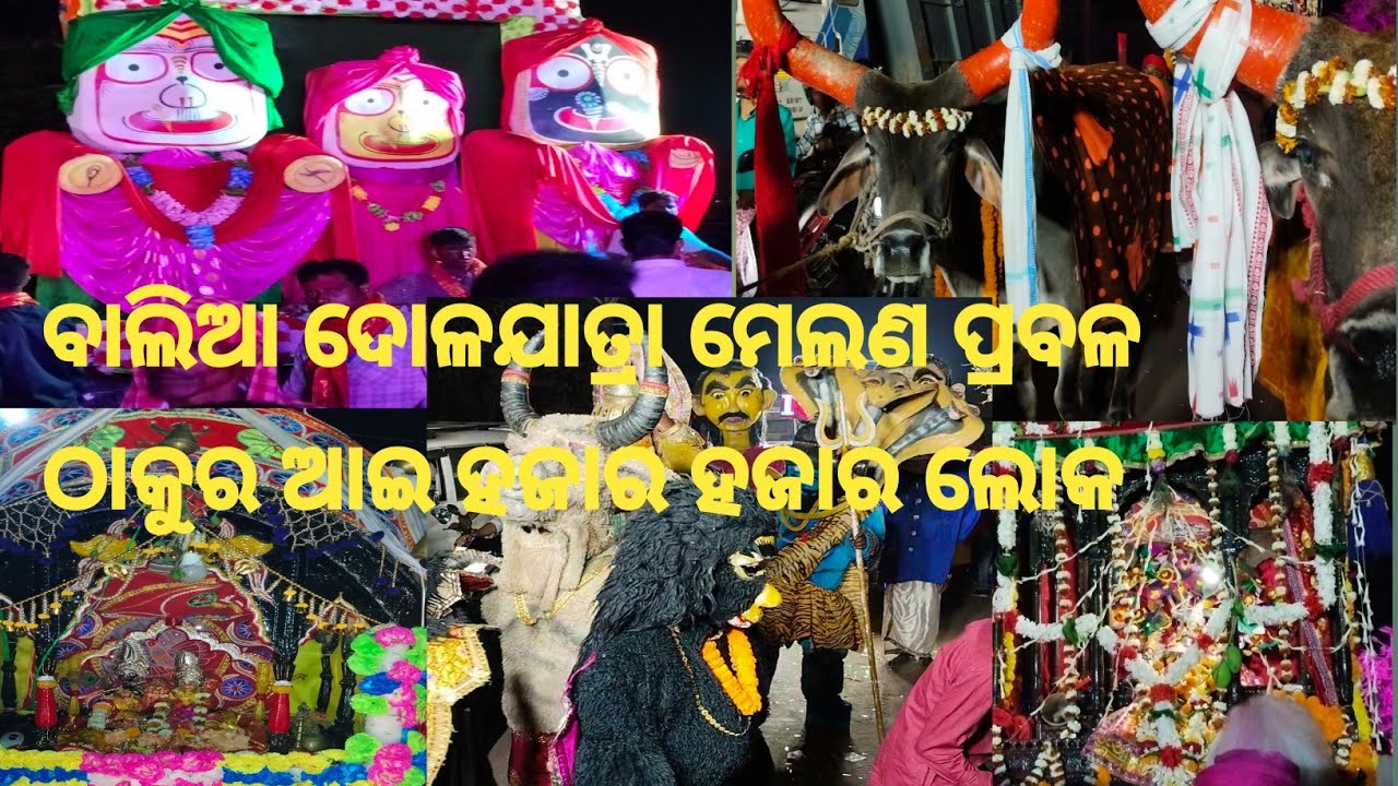 ବାଲିଆ ଦୋଳଯାତ୍ରା ମେଲଣ ପ୍ରବଳ ଠାକୁର ଆଇ ହଜାର ହଜାର ଲୋକ#muna odia vlog 99 viral video