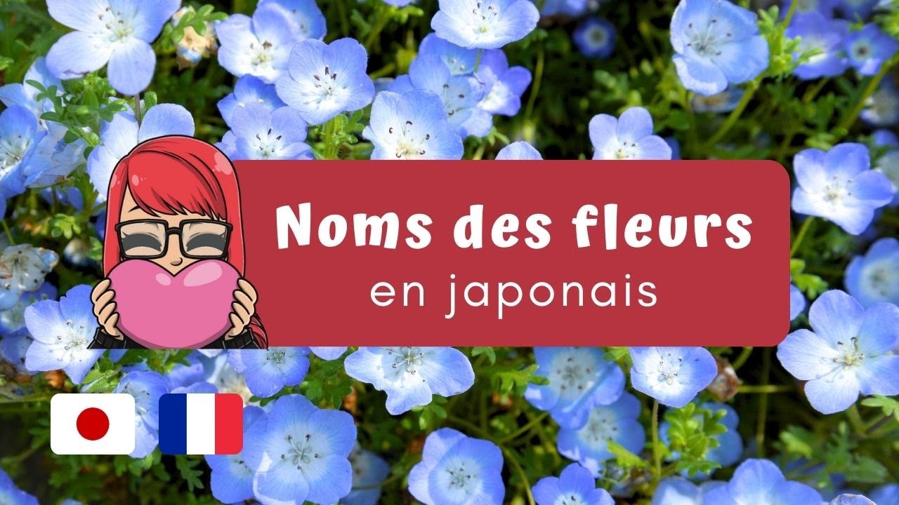 QUIZ : 20 NOMS JAPONAIS DE FLEURS [Liste de vocabulaire]