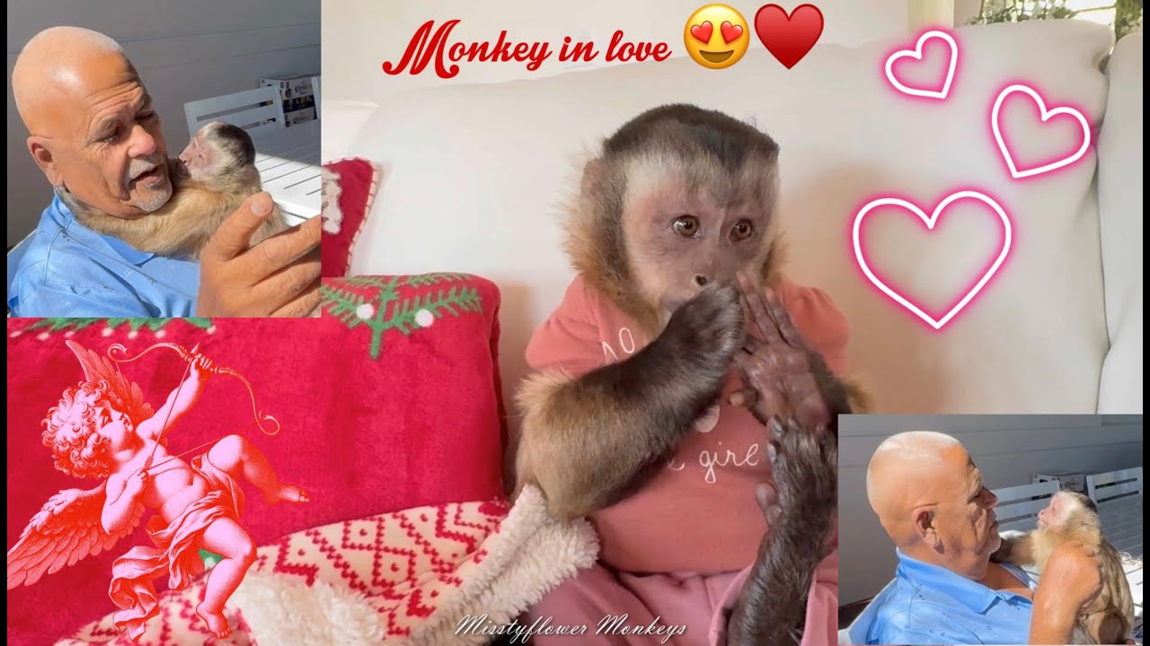 Monkey falls in love with human...❤️❤️❤️