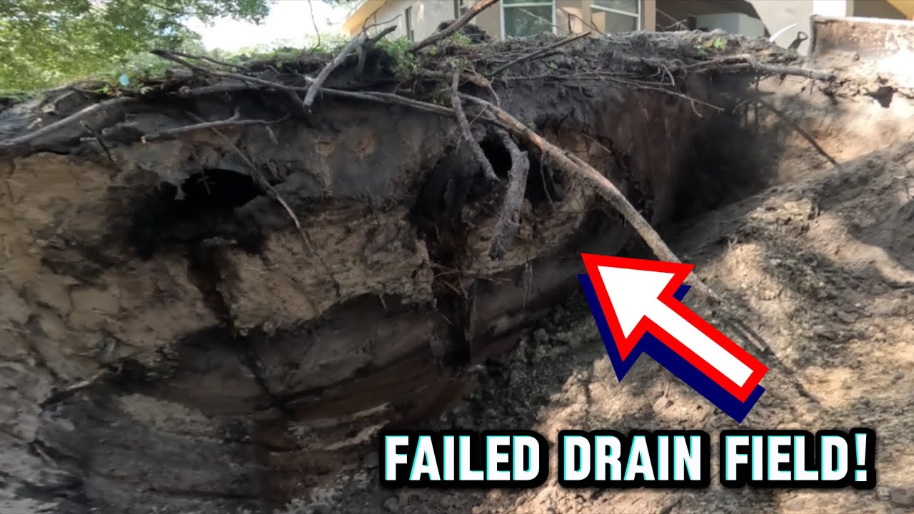Failed Drain Field EXPOSED | Complete Replacement.