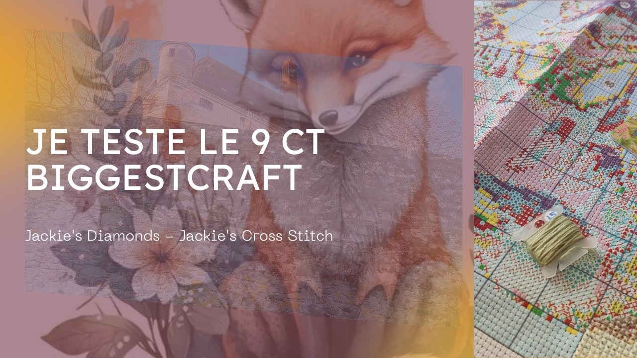 Je teste le 9CT 🦊 #biggestcraft #jackiescrossstitch