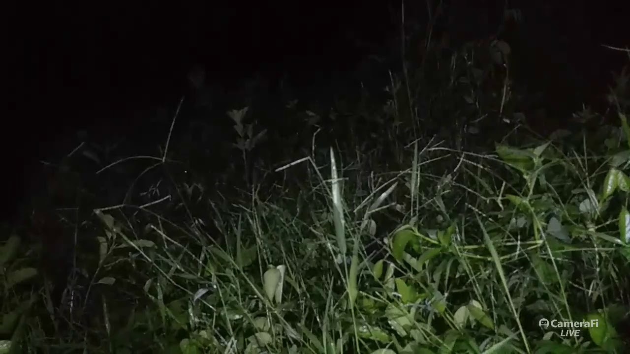 MISTERI HANTU JAIL   #Anoymisteri #livemalamini #TEKLEMISTERI