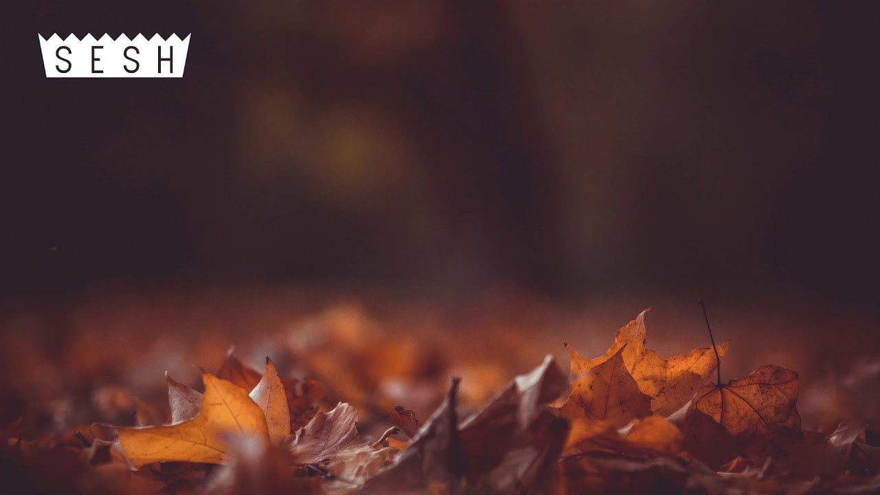 CHRIS TRAVIS X BONES - FallenLeaves | SLOWED TO PERFECTION | Fallen Leaves