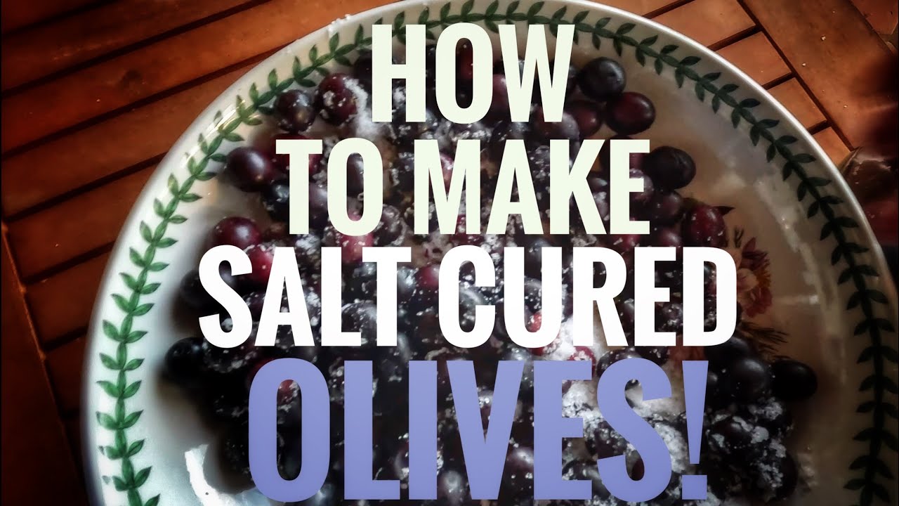 How to Make Salt Cured Olives! My Favorite!