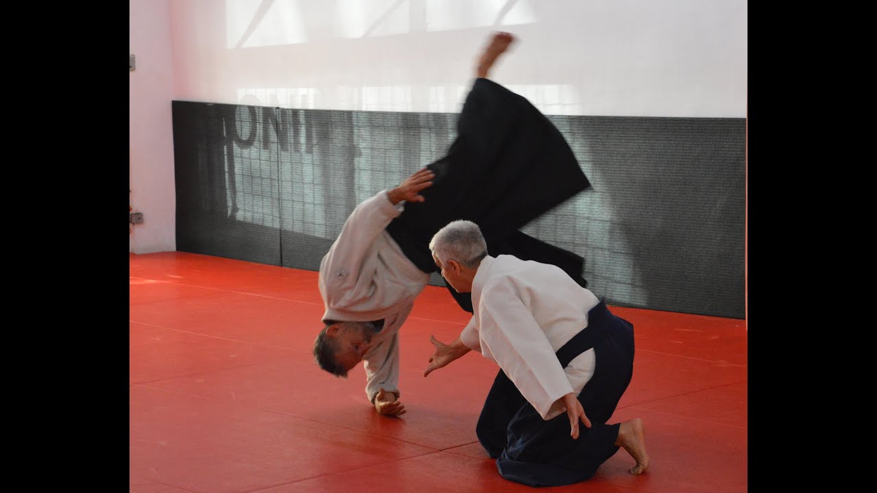 Curso y examen de 2º Dan en  Valencia, 28 y 29 de octubre 2023.