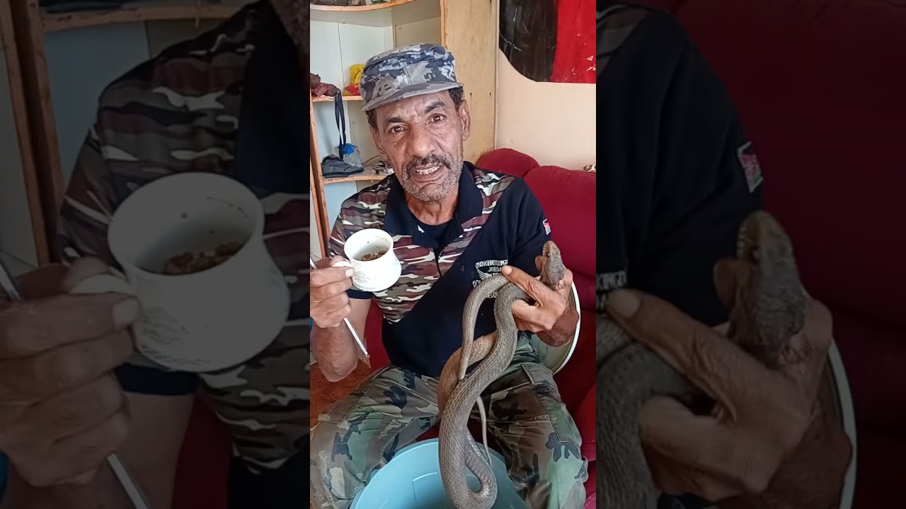 أخطر تجربة كادت ان تلدغني #ياسين_الصقور #اكسبلور #طيور #افاعي 