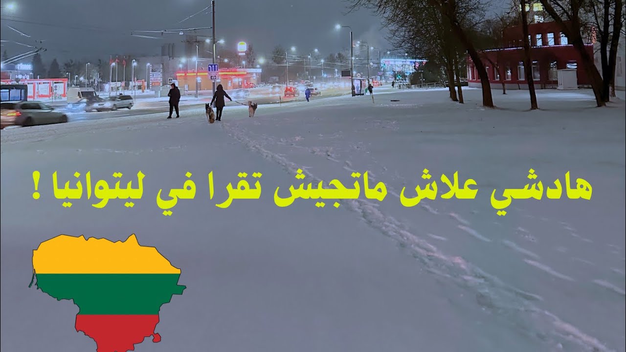 سلبيات وإيجابيات الدراسة في ليتوانيا 🇱🇹 🇪🇺داكشي لي ماغيقولوهش ليكم ✅