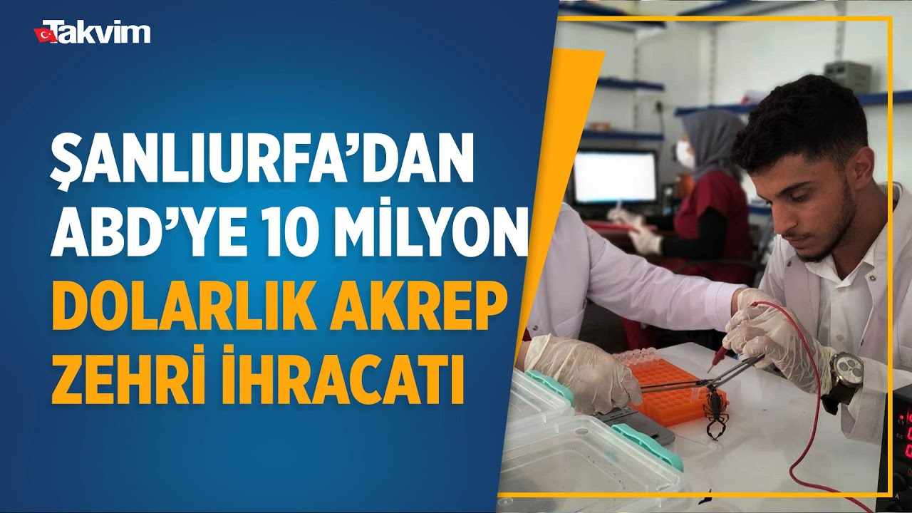 Şanlıurfa’dan ABD’ye 10 milyon dolarlık akrep zehri ihracatı