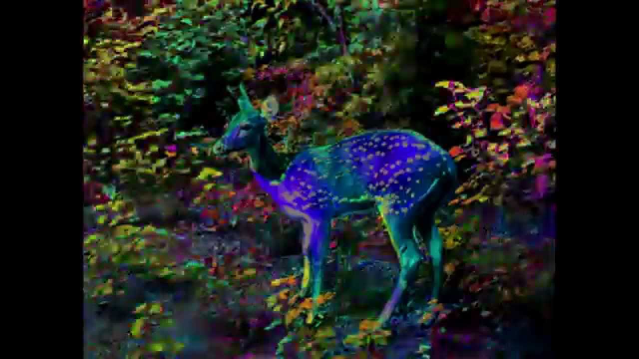 LOGIC - HVSHTHVG Instrumental (prod. by DALYB)