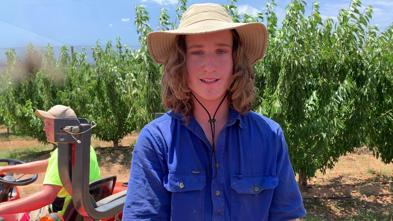 Mini Documentary - Life at Cherryhill Cobram cherry harvest 2018
