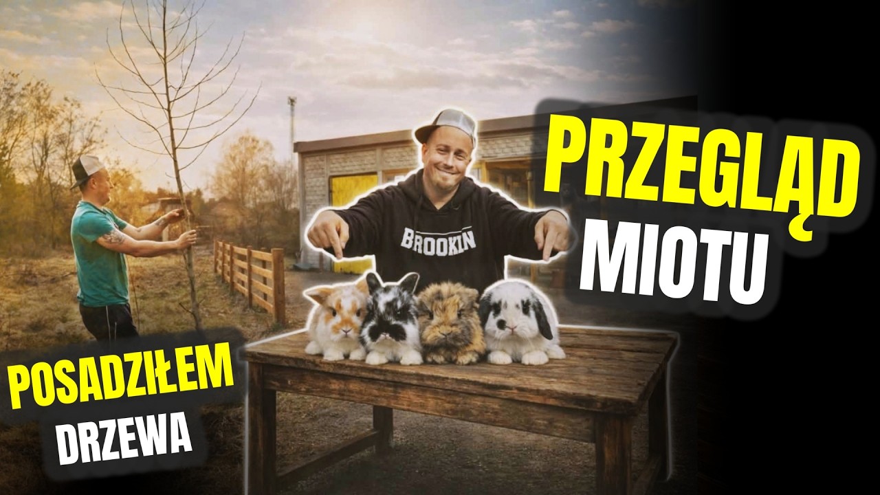 ALE SŁODZIAKI ! przegląd miotu królików i sadzenie drzew 🐰 odc. 860