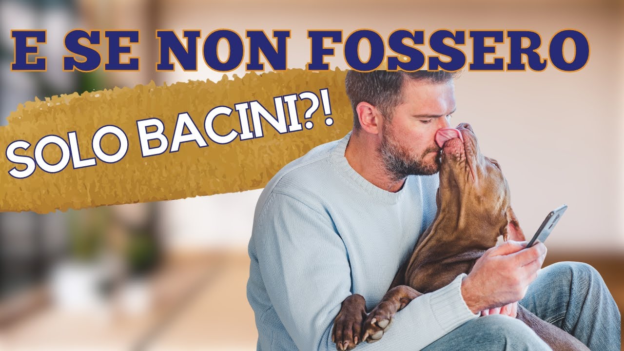 Perché il cane ci lecca? 7 motivi per cui può farlo