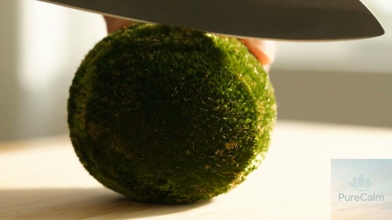 Velvet Fruit Slicing ASMR: Plush Textures, Sharp Satisfaction #macro #asmr #surreal #velvet #fruits