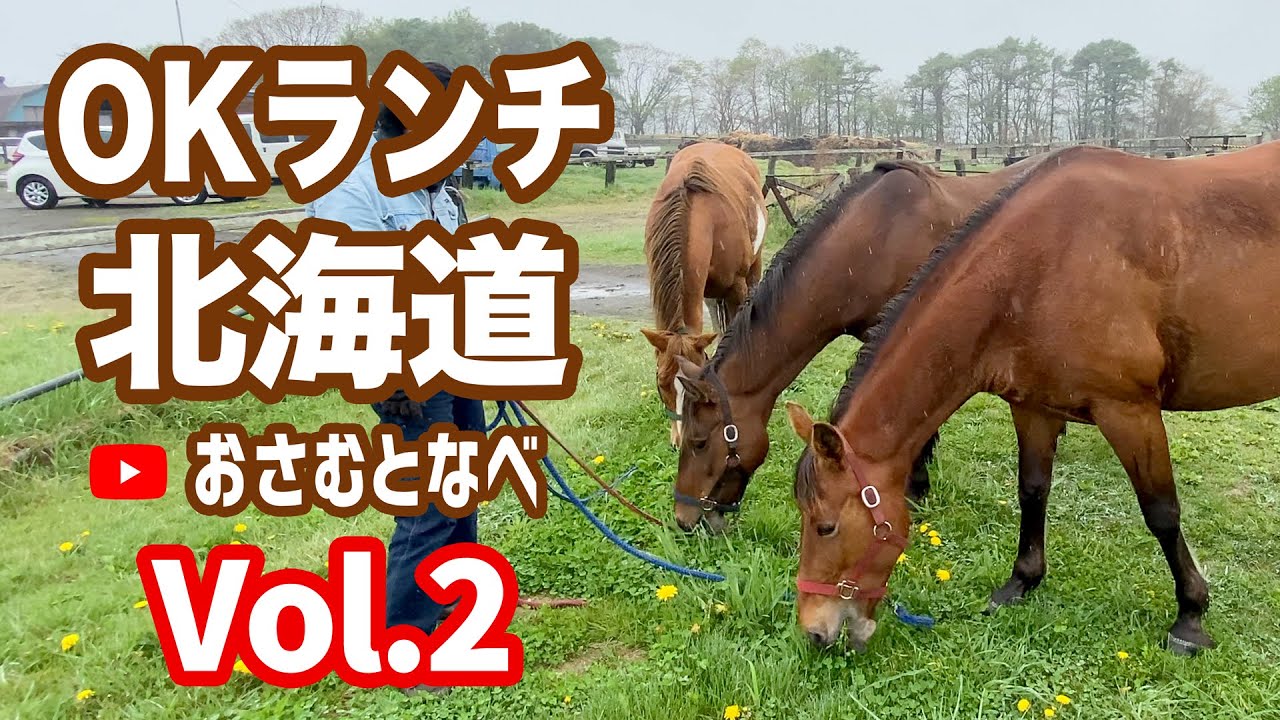 【外乗乗馬旅】「OKランチ」編Vol.2。北海道浜厚真海浜公園での外乗の様子後編