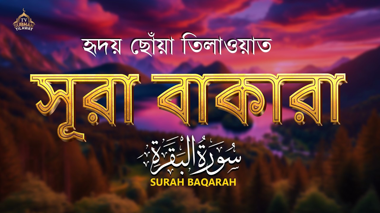 পৃথিবীর সবচেয়ে আবেগময় সুরা বাকারা তেলাওয়াত | Surah Al Baqarah (سورة البقرة) by Alaa Aqel