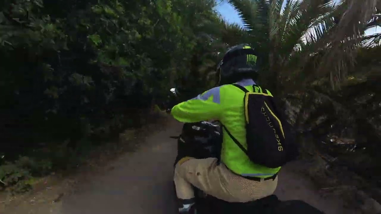 GUINIGUADA-02