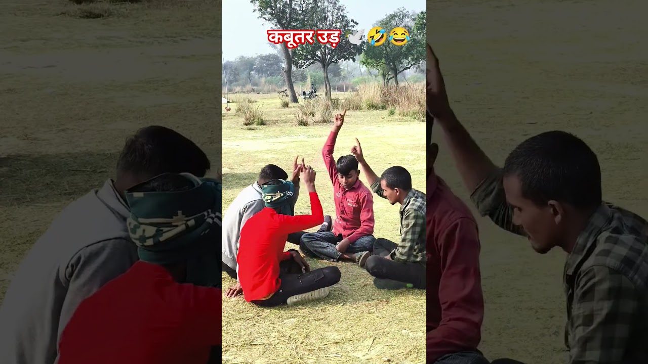 कबूतर उड़। kabutar ud।￼-funny 😂🤣 