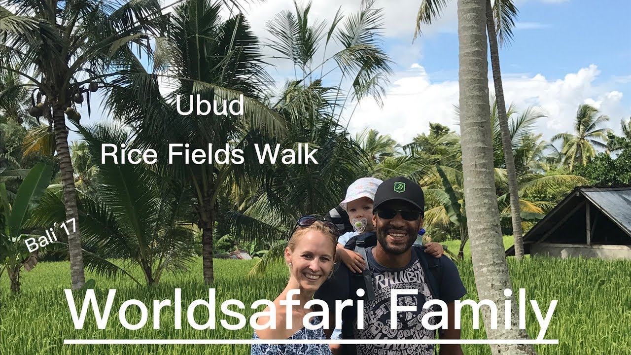 Ubud | Rice Fields Walk | Bali | VLOG #010