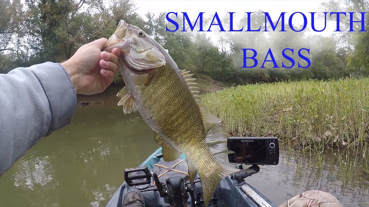 Kayak Bass Fishing For Smallmouth Salt River KY 2021