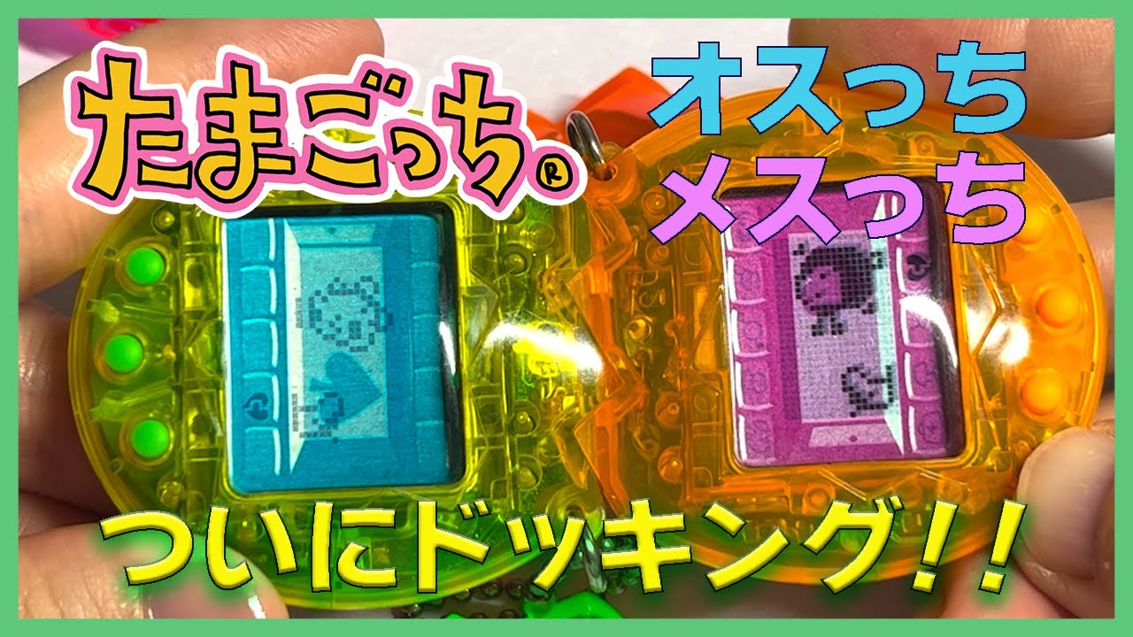 【たまごっち育成動画】たまごっち！オスっち、メスっちついにドッキング！