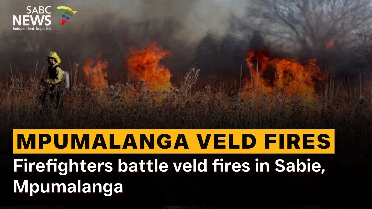 Firefighters battle veld fires in Sabie, Mpumalanga
