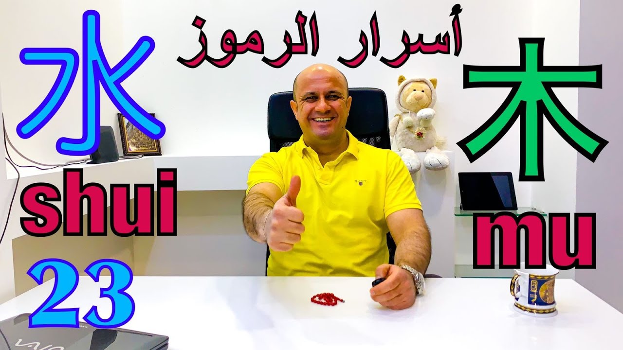 23 # ماء 水 💦 | شجرة 木 🌲 | اسرار الرموز في اللغة الصينية | تعلم اللغة الصينية للمبتدئين من الصفر