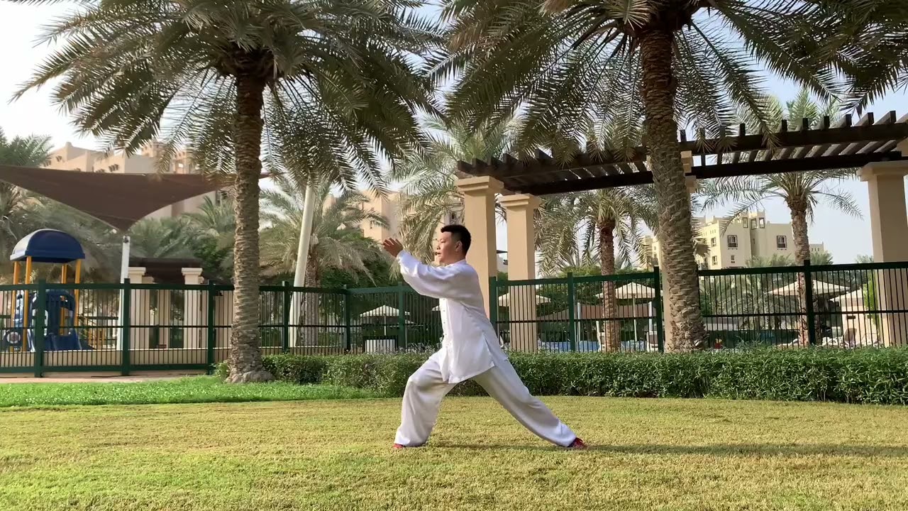 太极基本功-单云手 Tai Chi Basic Movement Dan Yun Shou With Breathe 1.51
