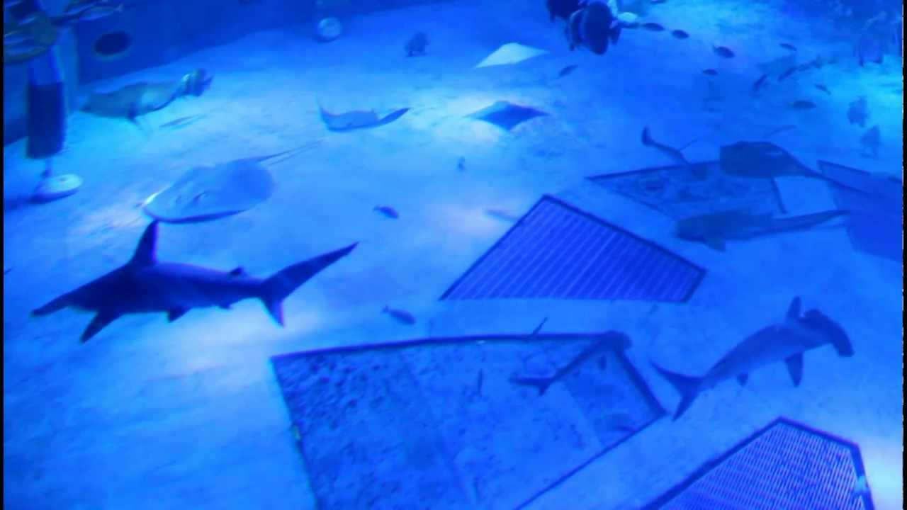 Notojima Aquarium in Japan