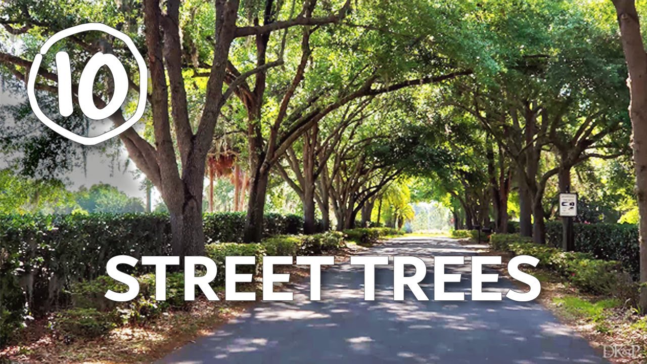 Street Trees  &middot;  TOWN PLANNING STUFF  &middot;  Ep 10
