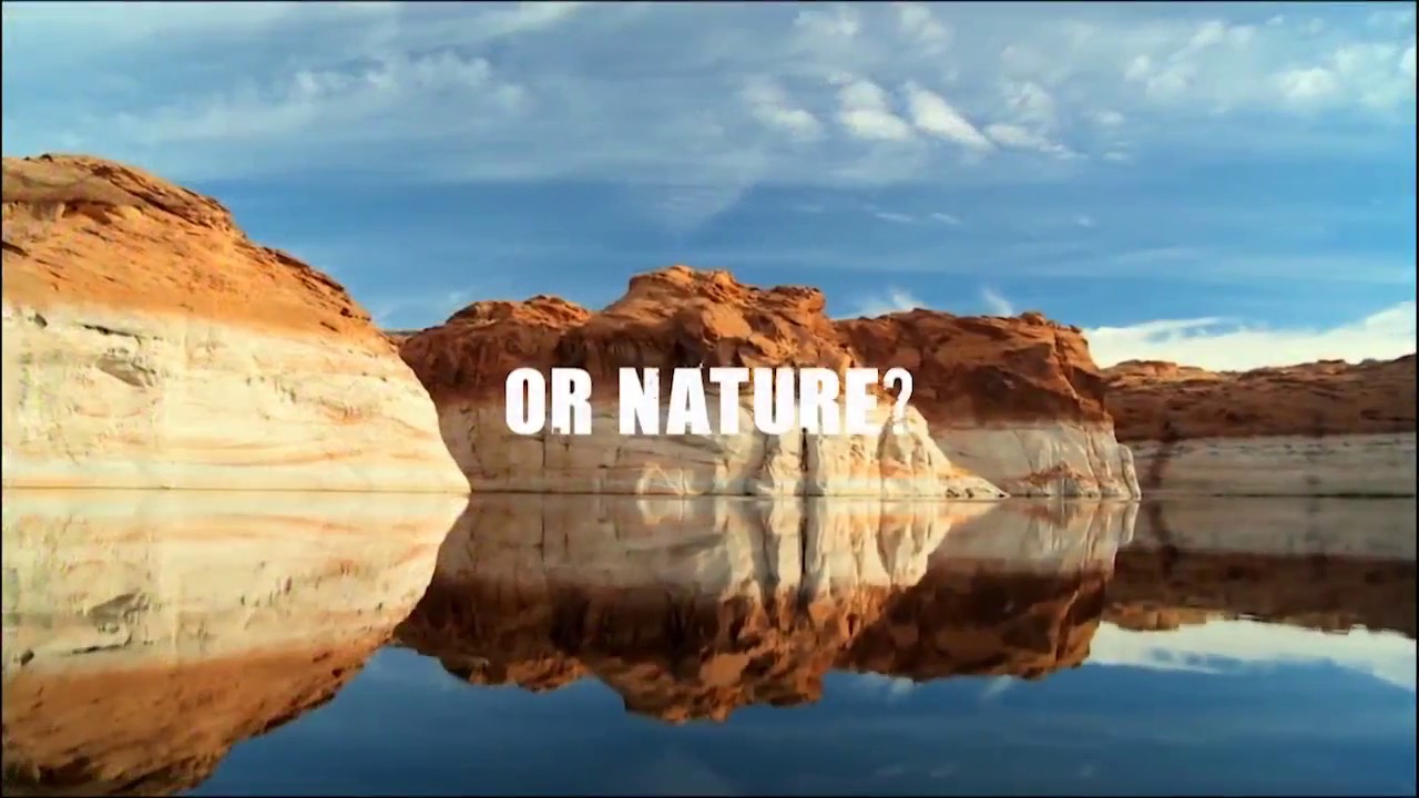 Nature's Voice by Carvico - Il nostro impegno ecosostenibile