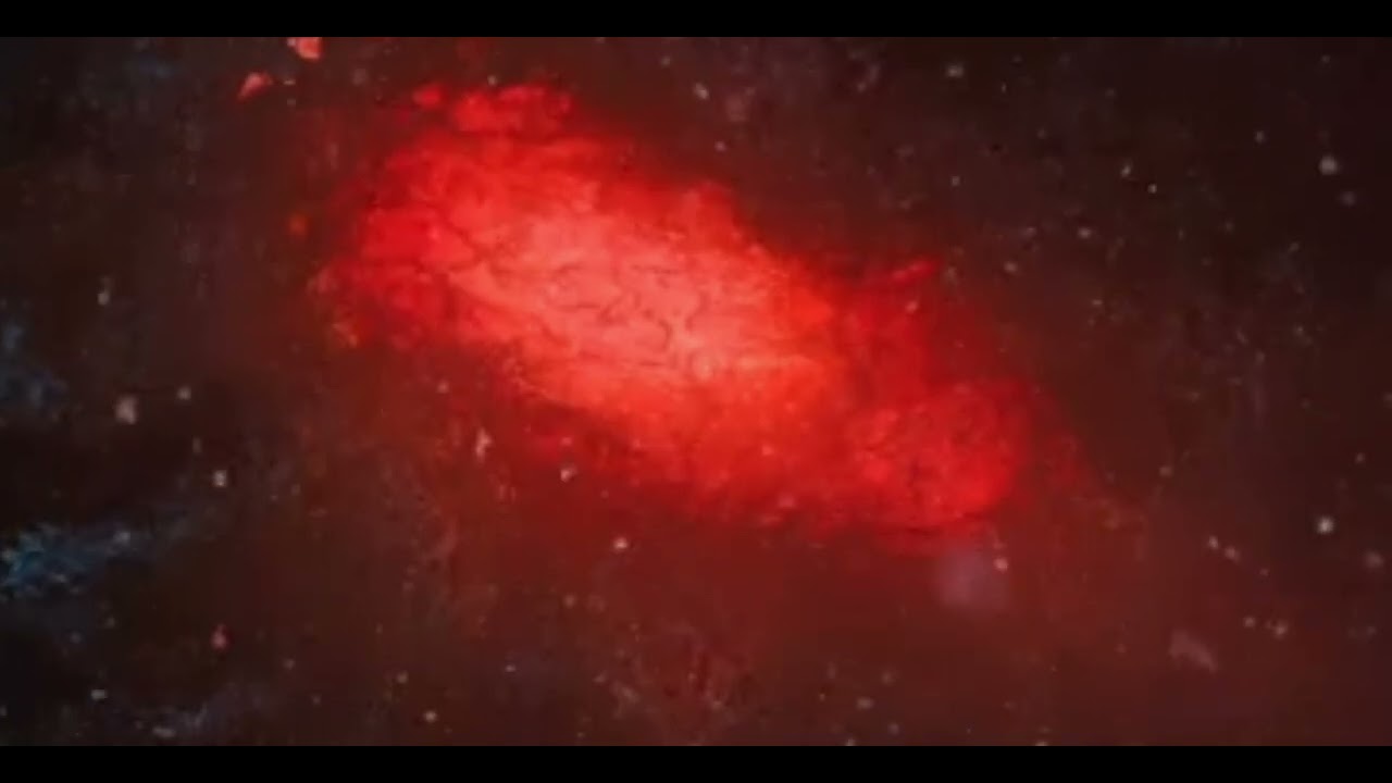 10 Hours in the Upside Down Portal