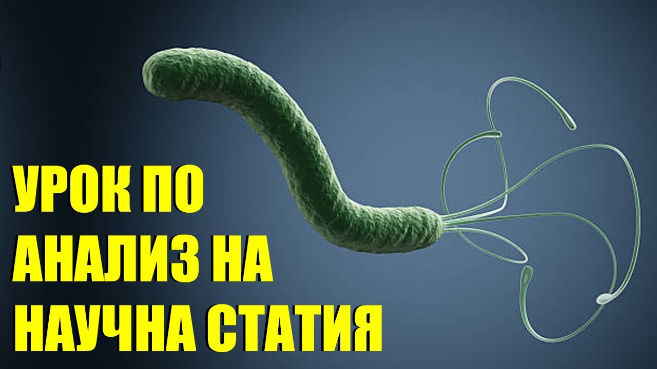 Как се анализира научна статия - Всичко за бактерията Helicobacter pylori