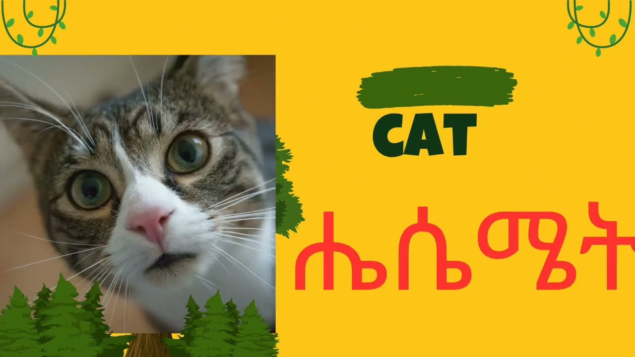 የእንስሳት ስሞች በግእዝ|||Animals name in Ethiopian language geez