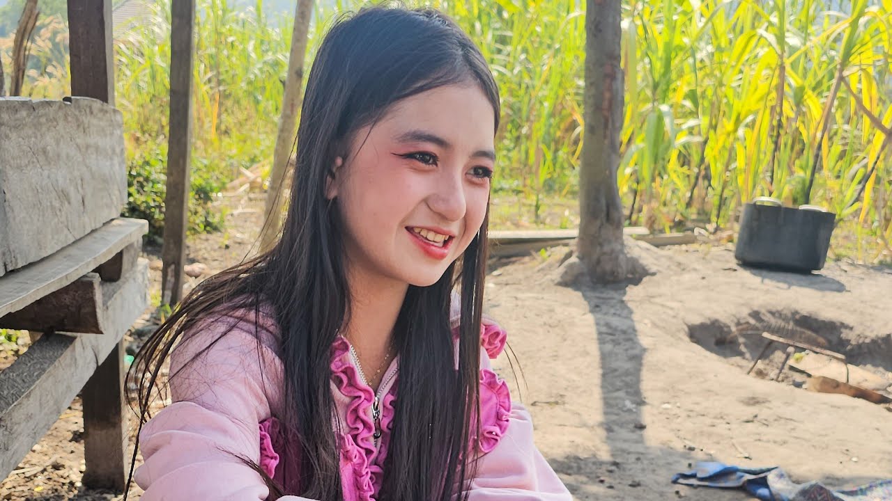 สาวน้อยน้องซีว่าง #สาวลาว ชนเผ่าม้งหลักซาว เมืองคำเกิด ตัดอ้อยหน้าบ้านให้ได้ลองชิม ม้งหลักซาว #hmong