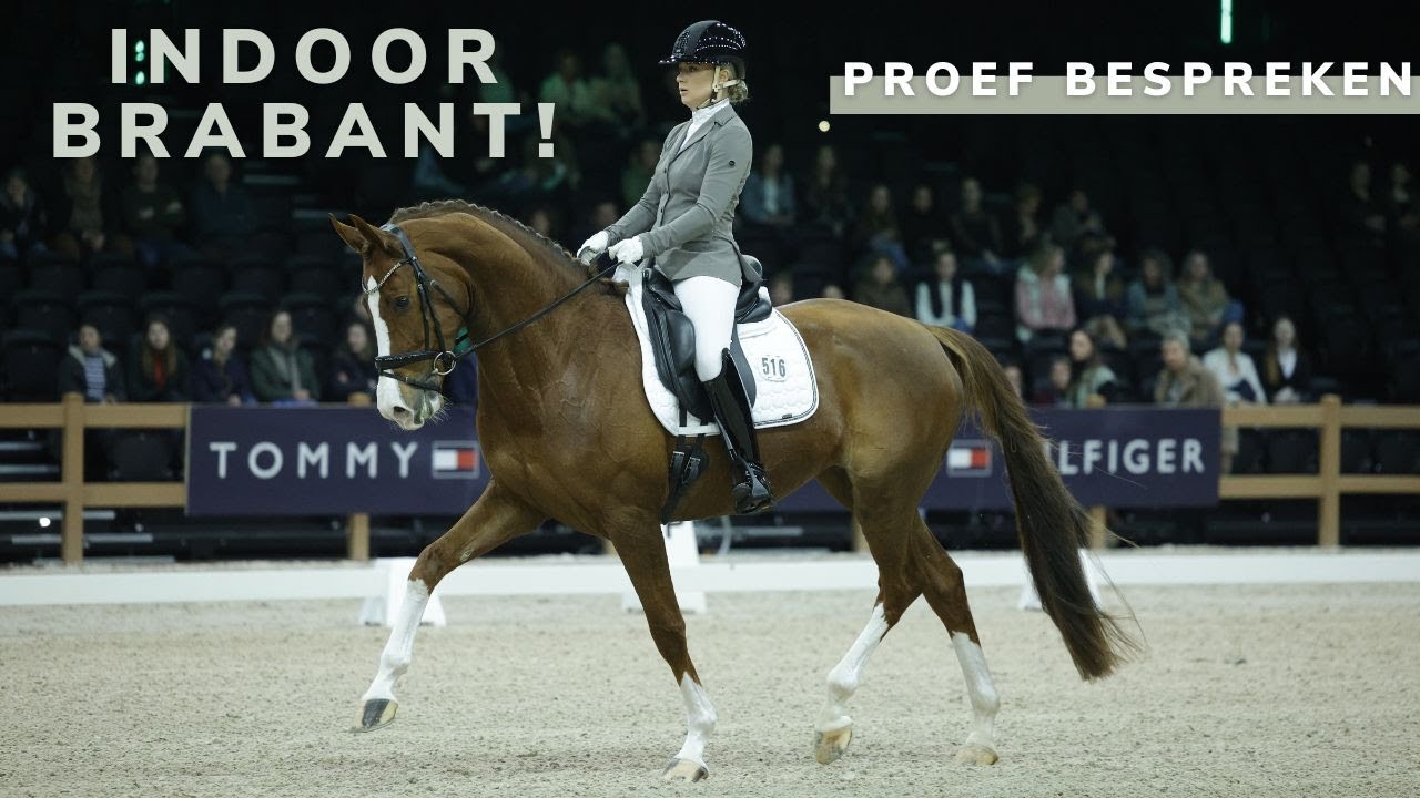 Indoor Brabant! 🌟 