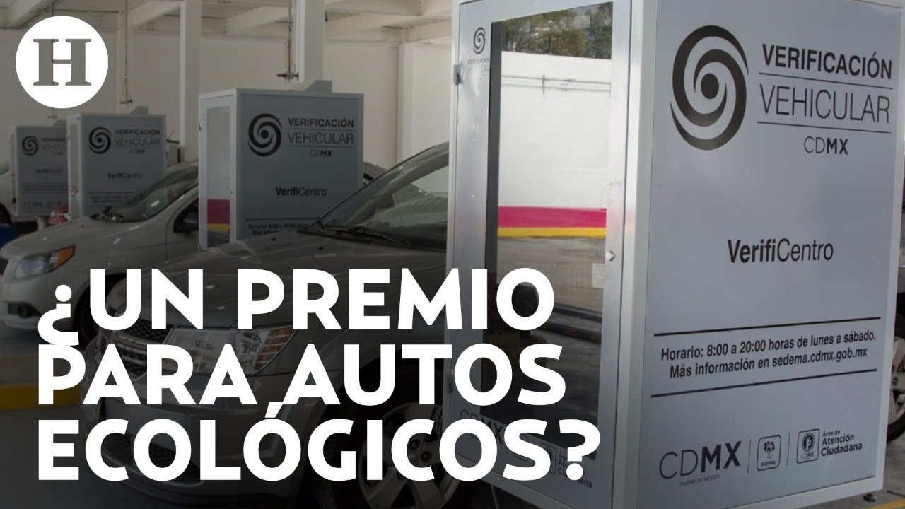 Holograma 0 y 00: Experto explica cómo y dónde obtenerlo para tu próxima verificación